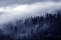 Les v mlze